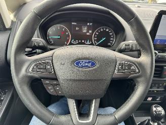Ford EcoSport 1.0 -125 Pk Active picture 29