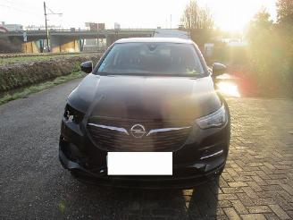 uszkodzony samochody osobowe Opel Grandland  2021/1