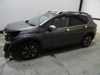 Peugeot 2008 1.6 HDI picture 1