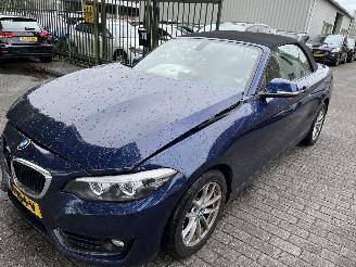 occasion passenger cars BMW 2-serie 218i  Automaat Cabriolet 2018/1