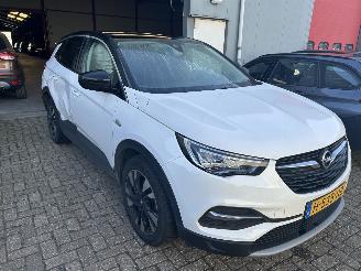 Opel Grandland X  1.2 Turbo Business Executive picture 3