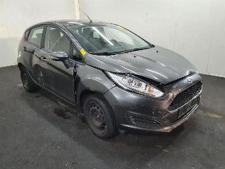 dommages fourgonnettes/vécules utilitaires Ford Fiesta  2016/1