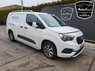 Opel Combo Combo Cargo, Van, 2018 1.6 CDTI 100 picture 2