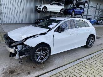 uszkodzony samochody osobowe Mercedes A-klasse  2019/1