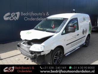 demontáž osobní automobily Volkswagen Caddy Caddy III (2KA,2KH,2CA,2CH), Van, 2004 / 2015 1.9 TDI 2005/9