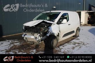 Damaged car Opel Combo Combo Cargo, Van, 2018 1.6 CDTI 100 2019/6