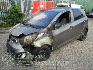Auto incidentate Kia Picanto Picanto (TA) Hatchback 1.0 12V (G3LA) [51kW]  (05-2011/06-2017) 2012/9