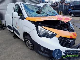 disassembly passenger cars Opel Combo Combo Cargo, Van, 2018 1.5 CDTI 130 2020/2