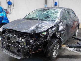 škoda osobní automobily Kia Rio Rio IV (YB) Hatchback 1.0i T-GDi 100 12V (G3LC) [74kW]  (01-2017/09-20=
20) 2019