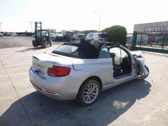 BMW 2-serie CABRIO picture 2